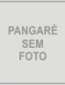 Foto do pangaré do EDUARDO D'AVILA